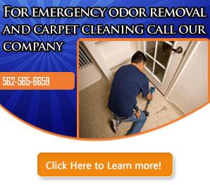 Our Services - Carpet Cleaning Long Beach, CA