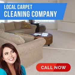 Contact Carpet Cleaning Company