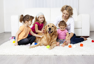 Pet Hair Cleaning Services in California