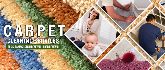 Our Carpet Cleaning Services